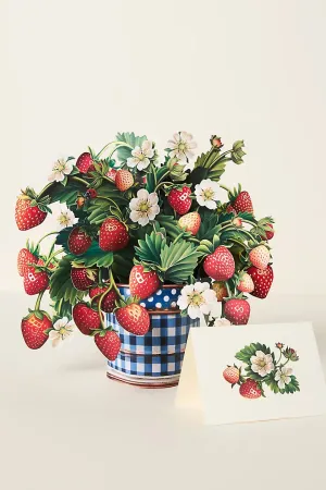 Strawberry Blossom